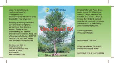 Ulmus Radix 6x (Ulmus Radix 6x V1 8 30 2023)